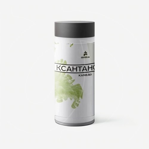 Ксантановая камедь КОНДИ PRO 500 г 